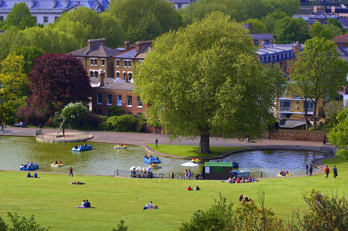 London’s Alarming ‘Cocktail’ of Toxic&nbsp;Pesticides