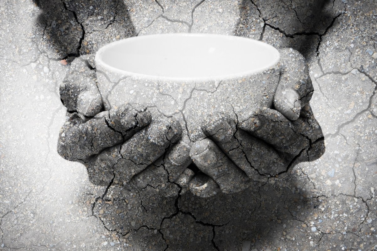 Seeds of Hope for the Global Food Systems and Biodiversity&nbsp;Crises