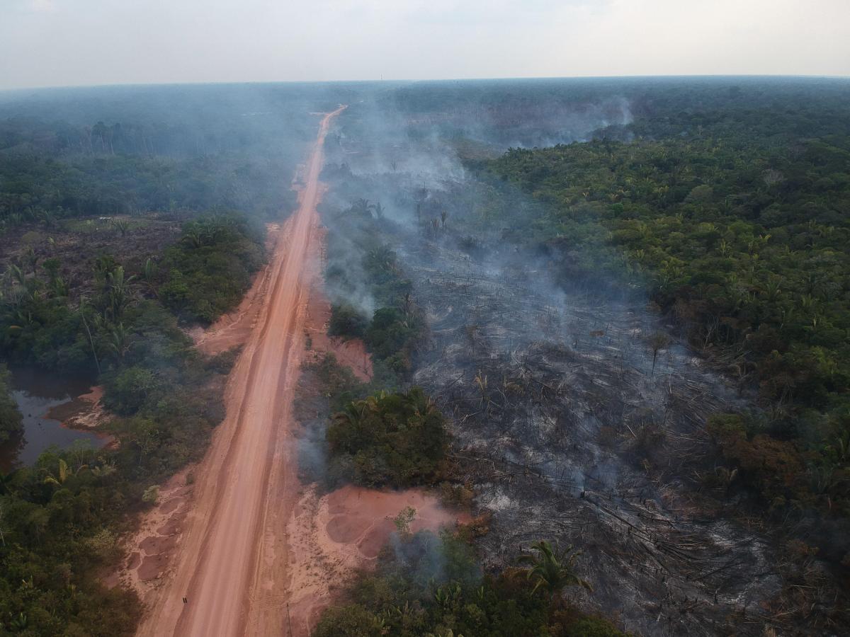 BR-319: A Highway to Climate Chaos in the Heart of the&nbsp;Amazon