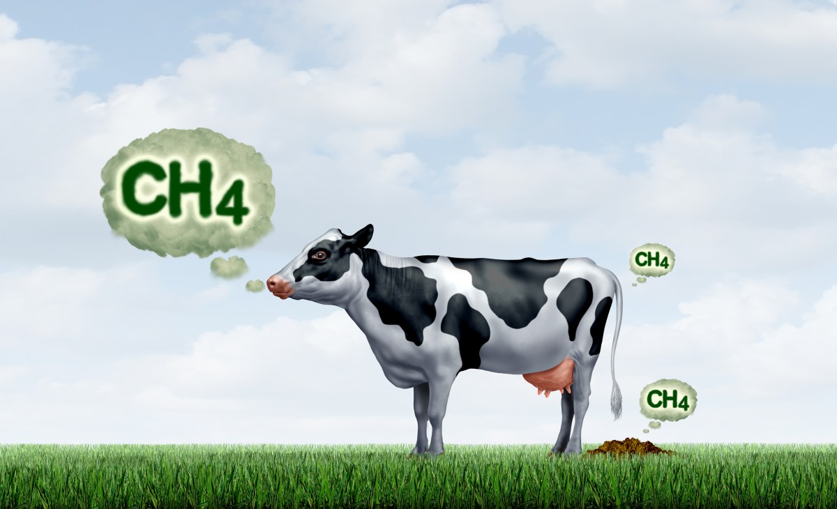 Supermarkets Turn a Blind Eye to Methane Emissions from Meat and&nbsp;Dairy