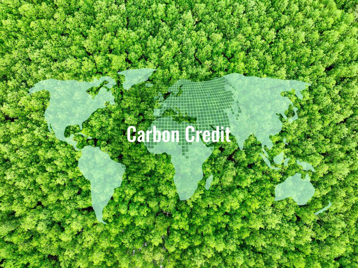 Can we really offset our way out of the climate&nbsp;crisis?