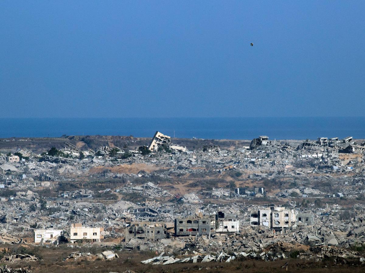 Ecocide in Gaza: The silent war on nature and&nbsp;survival