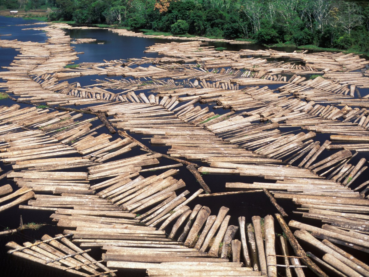 When conservation becomes a&nbsp;commodity